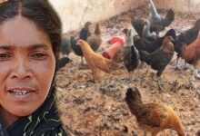 गौठान से बदली तस्वीर: धोवाताल बना आत्मनिर्भर मॉडल गांव, पलायन पर लगी रोक