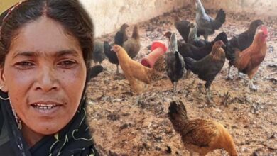 गौठान से बदली तस्वीर: धोवाताल बना आत्मनिर्भर मॉडल गांव, पलायन पर लगी रोक