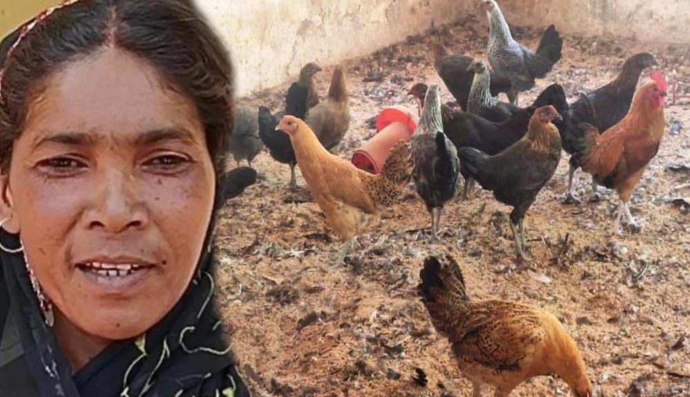 गौठान से बदली तस्वीर: धोवाताल बना आत्मनिर्भर मॉडल गांव, पलायन पर लगी रोक गौठान से बदली तस्वीर: धोवाताल बना आत्मनिर्भर मॉडल गांव, पलायन पर लगी रोक