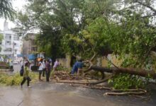 लखनऊ समेत कई जिलों में आंधी-बारिश का कहर: 18 की मौत, बिजली व्यवस्था ठप