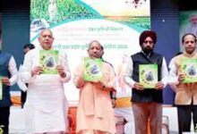 कृषि विकास दर, यूपी ने 9 साल में 8 से 18 फीसदी तक हासिल की बड़ी सफलता