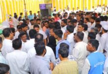 रोजगार मेले में 27 हजार युवाओं का पंजीकरण, बड़ी संख्या में मिला रोजगार