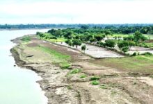 गंगा के किनारे 26 जिलों में ऑर्गेनिक क्लस्टर से बदल रही यूपी की तस्वीर