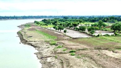 गंगा के किनारे 26 जिलों में ऑर्गेनिक क्लस्टर से बदल रही यूपी की तस्वीर