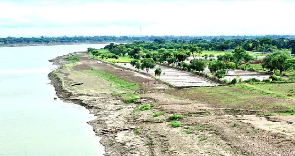 गंगा के किनारे 26 जिलों में ऑर्गेनिक क्लस्टर से बदल रही यूपी की तस्वीर