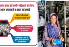 योगी सरकार संवार रही ग्रामीण महिलाओं का जीवन, मशरूम उत्पादन से 10 लाख तक कमाई