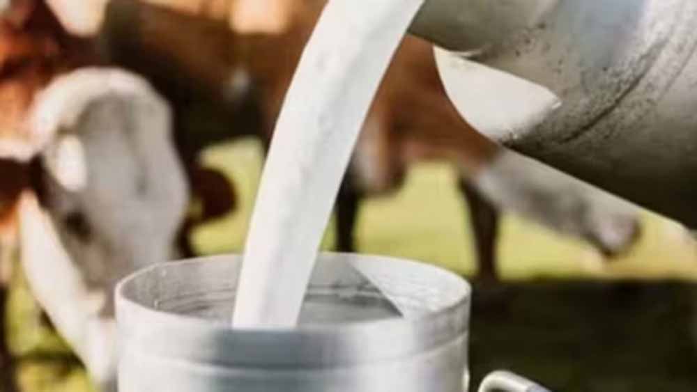 यूपी में पशुपालन को बढ़ाव,28 दिन में होगी गर्भ जांच, किसानों को मिलेगा बड़ा फायदा