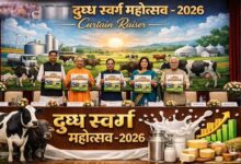 दुग्ध स्वर्ण महोत्सव-2026: योगी सरकार के विजन से डेयरी सेक्टर को नई रफ्तार