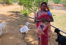 रायपुर : महतारी वंदन योजना से संवर रही पहाड़ी कोरवा परिवारों की तकदीर