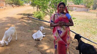 रायपुर : महतारी वंदन योजना से संवर रही पहाड़ी कोरवा परिवारों की तकदीर