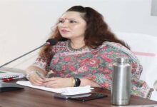 School Closed: एमपी के मैहर जिले में कक्षा 5 तक छुट्टियां घोषित, आदेश जारी