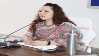 School Closed: एमपी के मैहर जिले में कक्षा 5 तक छुट्टियां घोषित, आदेश जारी