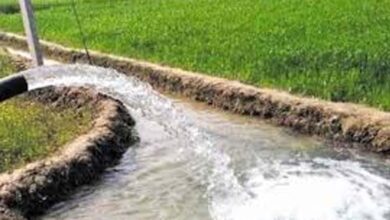मध्य प्रदेश के 678 गांवों को चूमेगी हरियाली, वॉटर प्रोजेक्ट पर मोहन सरकार बहाएगी पैसा