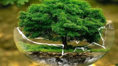 विश्व पृथ्वी दिवस पर INTACH की राष्ट्रीय पोस्टर प्रतियोगिता आयोजित