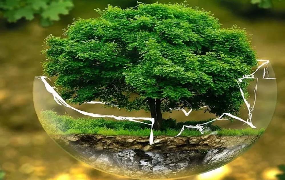 विश्व पृथ्वी दिवस पर INTACH की राष्ट्रीय पोस्टर प्रतियोगिता आयोजित