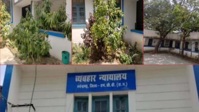 हरियाली की गोद में न्याय का मंदिर:मनेन्द्रगढ़ न्यायालय परिसर बना प्रकृति का मनमोहक आंगन