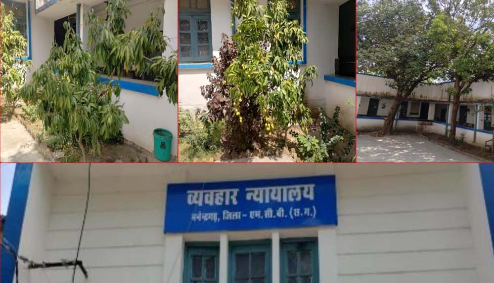 हरियाली की गोद में न्याय का मंदिर:मनेन्द्रगढ़ न्यायालय परिसर बना प्रकृति का मनमोहक आंगन