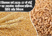 मध्‍यम एवं बड़े कृषकों को गेहूं विक्रय करने के लिये स्‍लॉट बुकिंग की सुविधा प्रारंभ