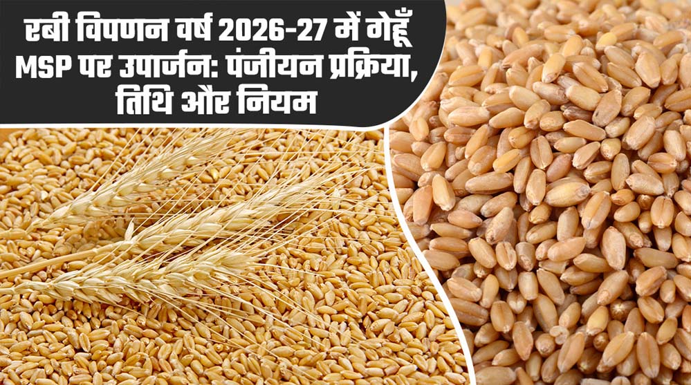 मध्‍यम एवं बड़े कृषकों को गेहूं विक्रय करने के लिये स्‍लॉट बुकिंग की सुविधा प्रारंभ