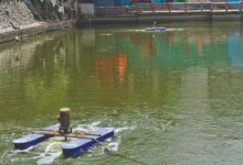 तालाबों की गुणवत्ता सुधारने के लिए निगम की नई पहल, नैनो एरेटर तकनीक से 10 दिन में दिखा असर