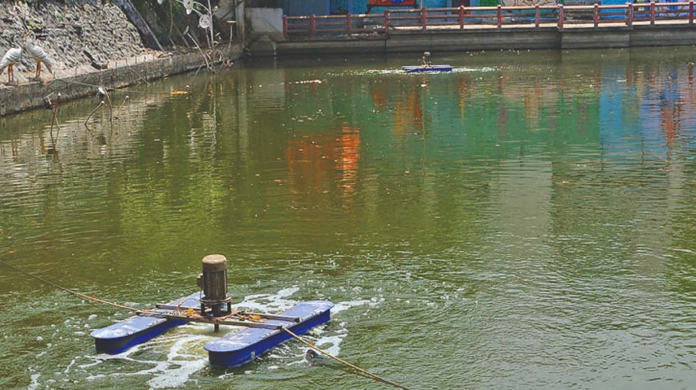 तालाबों की गुणवत्ता सुधारने के लिए निगम की नई पहल, नैनो एरेटर तकनीक से 10 दिन में दिखा असर