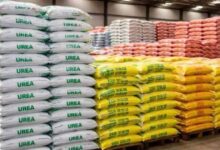 अब यूरिया खाद पर नहीं होगी किचकिच! 100 लाख टन के गैप को भरने के लिए नई पॉलिसी तैयार