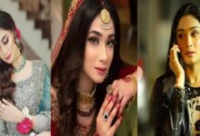 ’40 के पार पत्नी की उम्र, तो दूसरी शादी कर सकता है मर्द’, पाकिस्तान एक्ट्रेस ने दिया विवादास्पद बयान, भड़की आवाम