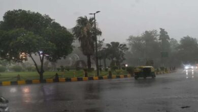 MP में 5 अप्रैल तक ओले और आंधी-बारिश की चेतावनी, भोपाल-इंदौर समेत 30 जिलों में बारिश का अलर्ट