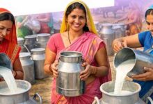 6 जिलों में 55 हजार से ज्यादा महिलाएं बनीं सफल उद्यमी, आत्मनिर्भरता की मिसाल