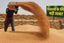 प्रदेश में किसानों के लिए खुशखबरी, गेहूं उपार्जन की तारीख बढ़ी, जानें नया अपडेट