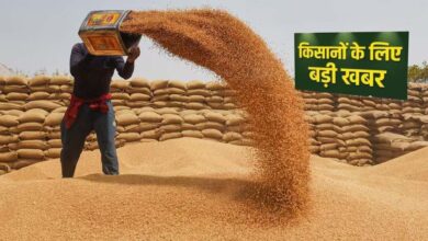 प्रदेश में किसानों के लिए खुशखबरी, गेहूं उपार्जन की तारीख बढ़ी, जानें नया अपडेट प्रदेश में किसानों के लिए खुशखबरी, गेहूं उपार्जन की तारीख बढ़ी, जानें नया अपडेट