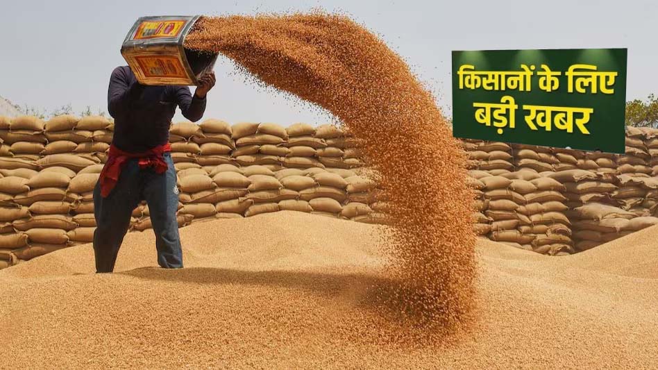 प्रदेश में किसानों के लिए खुशखबरी, गेहूं उपार्जन की तारीख बढ़ी, जानें नया अपडेट