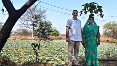 रायपुर : कुआं बना जीवन में बदलाव की वजह, अब सालभर खेती