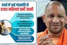 तराई में आई श्वेतक्रांति से 51 हजार महिलाएं बनीं उद्यमी