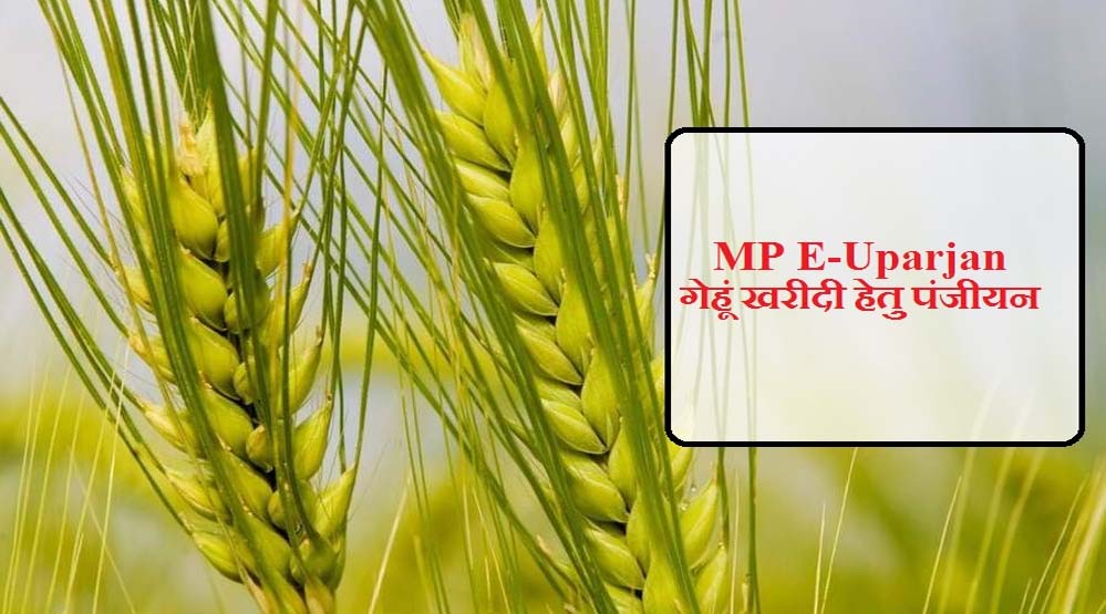 अनूपपुर जिले में गेहूँ उपार्जन 15 अप्रैल से प्रारंभ, 6 केंद्र निर्धारित अनूपपुर जिले में गेहूँ उपार्जन 15 अप्रैल से प्रारंभ, 6 केंद्र निर्धारित