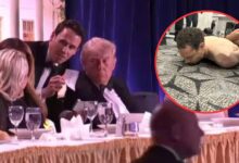 व्हाइट हाउस डिनर फायरिंग,आरोपी पहचान, कैलिफोर्निया टीचर-डेवलपर