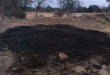 आग का कहर किसान की फसल जलकर खाक