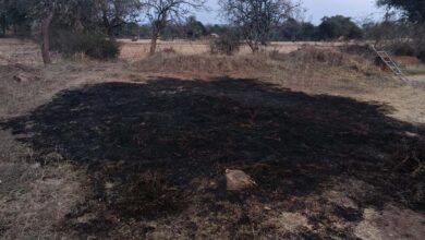 आग का कहर किसान की फसल जलकर खाक आग का कहर किसान की फसल जलकर खाक