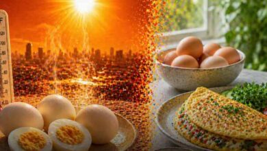 गर्मियों में अंडा खाना सुरक्षित या नहीं? एक्सपर्ट्स ने बताया पूरा सच