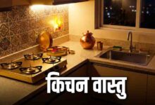 रात को किचन में जूठे बर्तन छोड़ना बढ़ा सकता है आर्थिक तंगी, मां लक्ष्मी की कृपा पाने के लिए सोने से पहले अपनाएं ये 3 वास्तु नियम