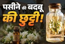 पसीने की बदबू से छुटकारा दिलाएगा मोगरे का देसी इत्र, बिना किसी खर्च के घर पर इस जादुई तरीके से करें तैयार