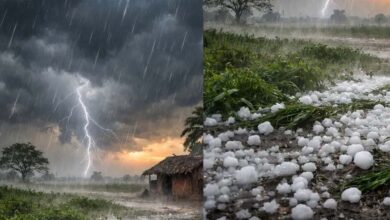 मध्य प्रदेश के 30 जिलों में बारिश और ओलावृष्टि का अलर्ट, 3 दिन बाद गर्मी का थर्ड डिग्री टॉर्चर