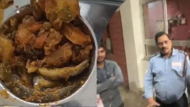 छिपकली कांड के बाद बंद कैंटीन, टिफिन पर भी लगी रोक: आरजीपीवी गेट पर छात्रों का विरोध प्रदर्शन