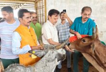 हिनौती गौधाम गौ संरक्षण एवं प्राकृतिक खेती का दिव्यधाम बनेगा : उप मुख्यमंत्री
