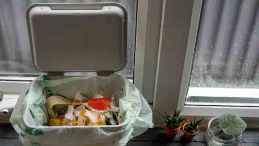 वास्तु टिप्स,गलत दिशा में रखा कूड़ेदान बन सकता है कंगाली का कारण, जानें डस्टबिन रखने के सही नियम