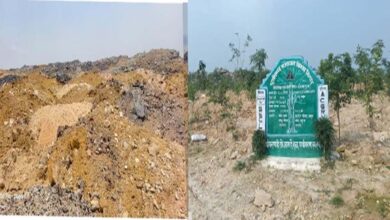 रायपुर : बंजर डंप क्षेत्र से हरा-भरा जंगल बनने की ओर गेवरा की अनूठी पहल