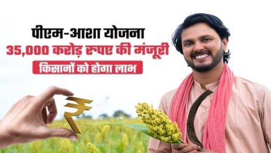 मोहला : पीएम-आशा योजना में किसानों को राहतः चना, मसूर और सरसों पंजीयन की तिथि 20 अप्रैल तक बढ़ी