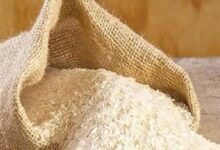 मोहला : जिले में आयोजित चावल उत्सव, राशन कार्डधारियों को तीन माह का चावल एक साथ वितरित