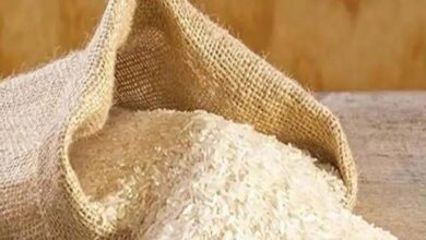 मोहला : जिले में आयोजित चावल उत्सव, राशन कार्डधारियों को तीन माह का चावल एक साथ वितरित