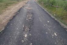 ₹250 करोड़ की सौगात: 235.45 किमी सड़कों से गांवों में विकास की रफ्तार तेज